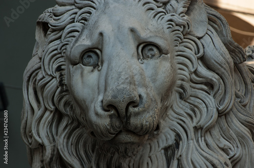 marble lion statue
