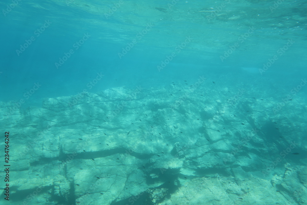The underwater world of the Mediterranean Sea of Crete