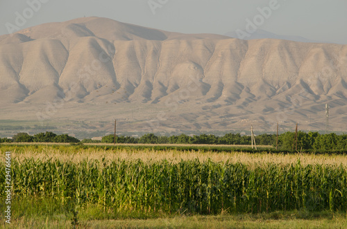 Armenische Landschaft photo