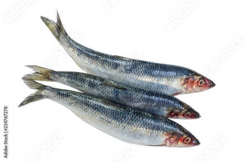 Three Fresh Herring fish isolated on white background