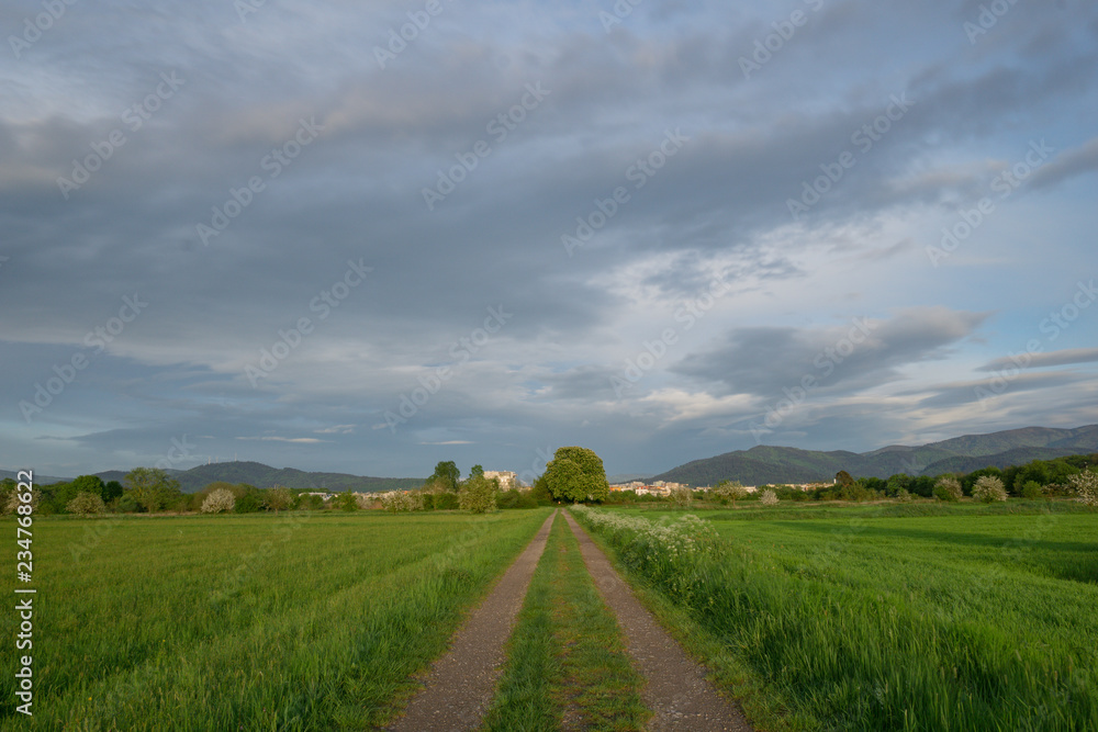 Fototapeta premium Naturschutzgebiet an Wohngebiet