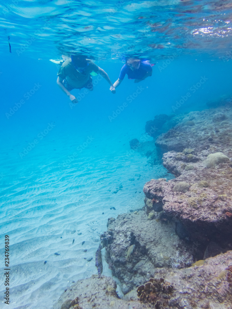 Fototapeta premium Snorkelling Views around the Caribbean isalnd of Curacao