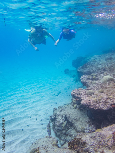 Snorkelling Views around the Caribbean isalnd of Curacao