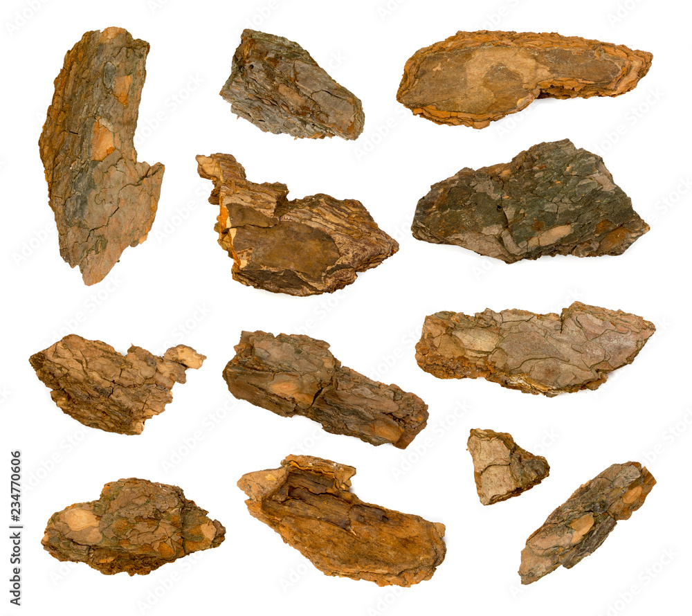 Pine Tree Bark Chip Isolated on White Background Pine Tree Bark Chip Isolated on White Background