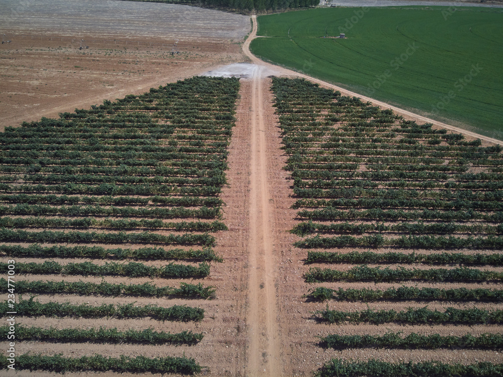 Obraz premium Aerial view of textures. Rows of soil with plantations. Pattern rows of furrows in a plowed field prepared to plant crops in spring.