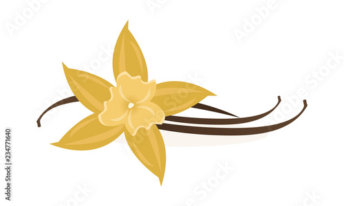 Vanilla Flower