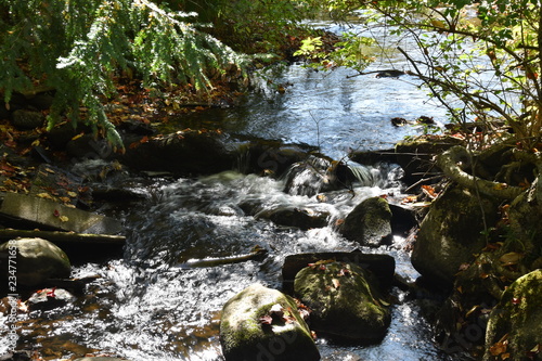 Creek in a Campground