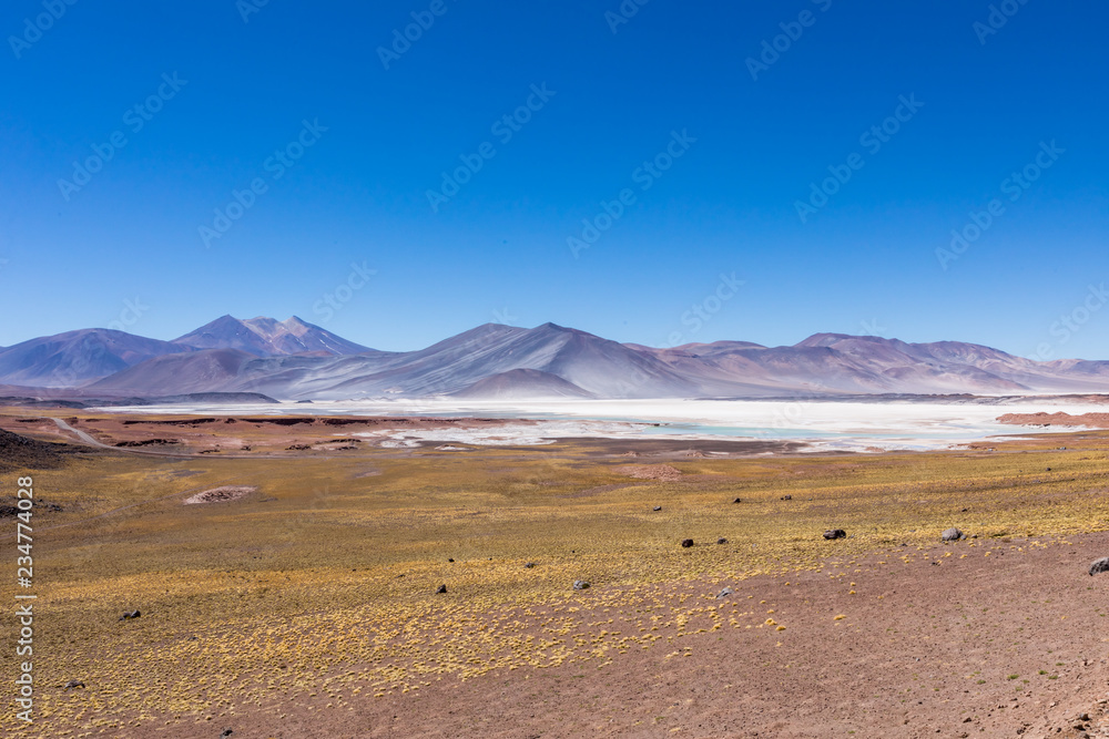 Atacama Desert, Chile. Salar Aguas Calientes. Lake Tuyacto. South America. Atacama Desert, Chile. Salar Aguas Calientes. Lake Tuyacto. South America.