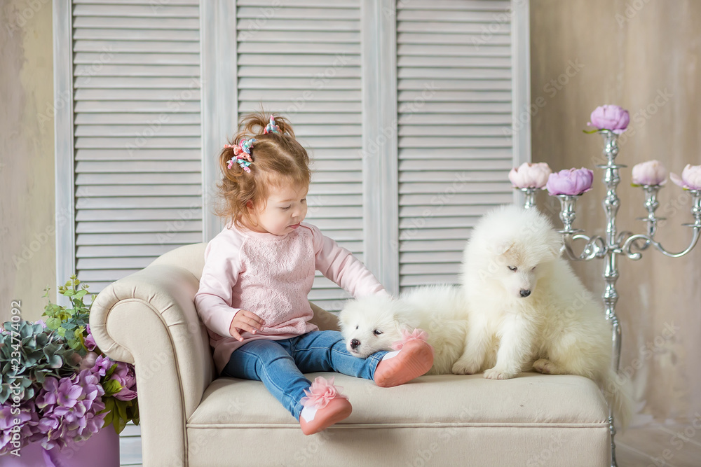 Portrait of blond baby girl play with husky puppy.Model girl with blond hair posing in studio shoot with sammy white puppy while sitting on royal retro armchair sofa couch wearing cute dress. Portrait of blond baby girl play with husky puppy.Model girl with blond hair posing in studio shoot with sammy white puppy while sitting on royal retro armchair sofa couch wearing cute dress.