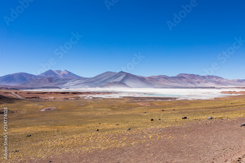 Atacama Desert  Chile. Salar Aguas Calientes. Lake Tuyacto. South America.