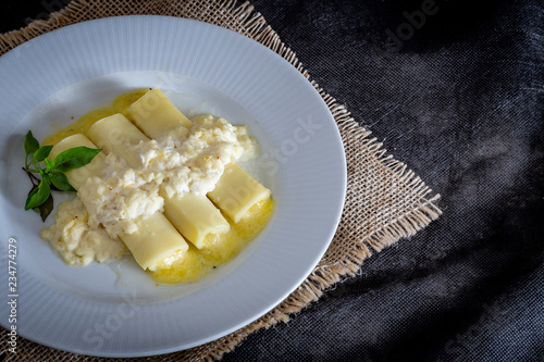 Italian caneloni with bechamel sauce and cheese on rustic background. photo