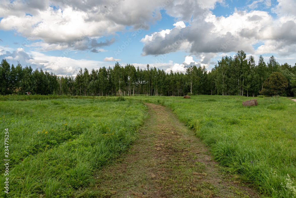 Obraz premium simple countryside forest road in perspective