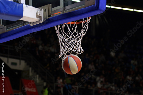 Basketball in net. Scoring Points