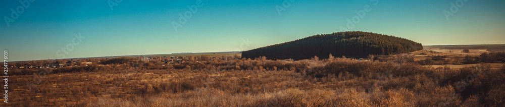 panorama of the pine mound.
