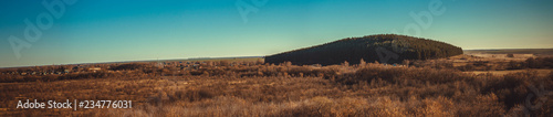 panorama of the pine mound.
