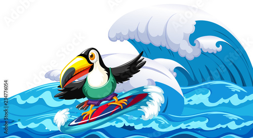 Toucan surfing big wave