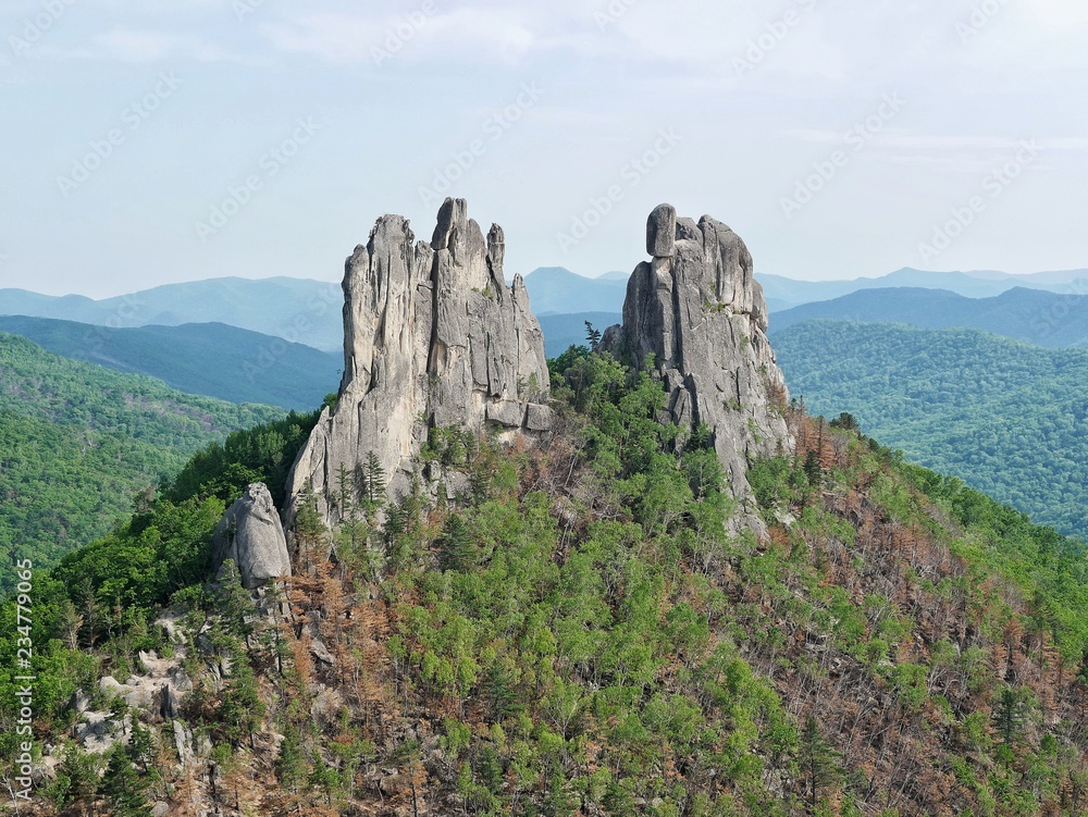 rock in the forest