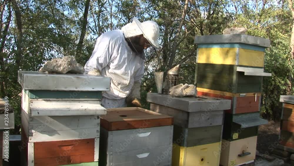 a beekeepers and hives a beekeepers and hives