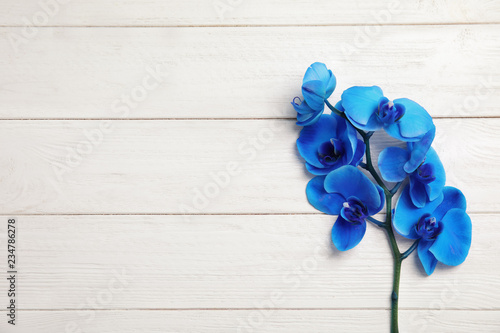 Fototapeta Naklejka Na Ścianę i Meble -  Branch with beautiful tropical orchid flowers on white wooden background, top view. Space for text