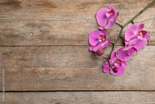 Branch with beautiful tropical orchid flowers on wooden background, top view. Space for text