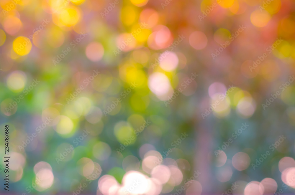 Fototapeta premium Blurry Nature green leaves sunlight background.