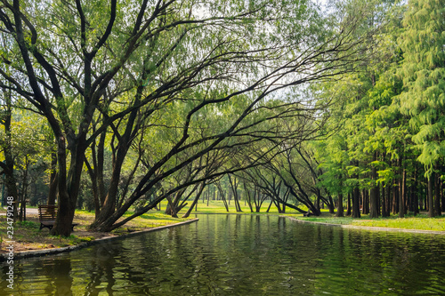 Quadro su tela Green trees and lake in Shanghai gongqing forest park in autumn