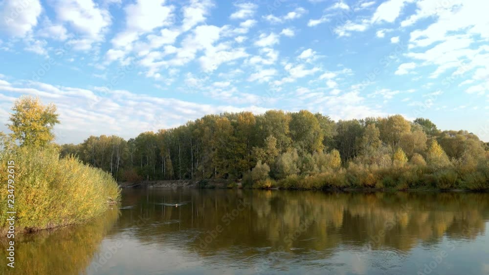 Autumn nature landscape,walking out on forest lake shore, Autumn nature landscape,walking out on forest lake shore,