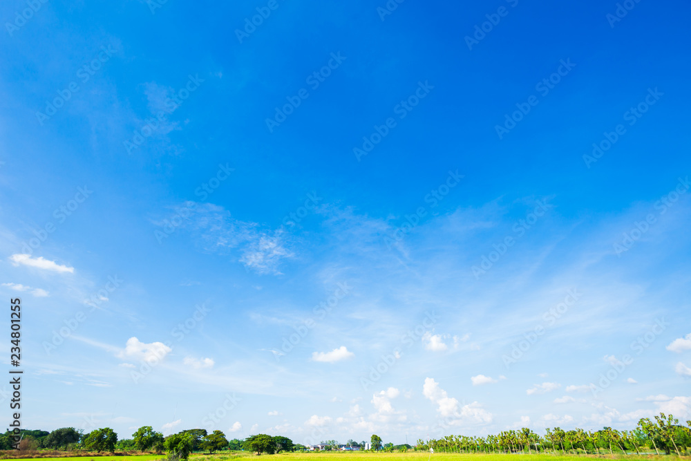 Fototapeta premium blue sky background texture with white clouds.