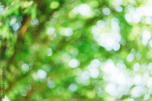 green bokeh background with circles. Summer abstract theme.