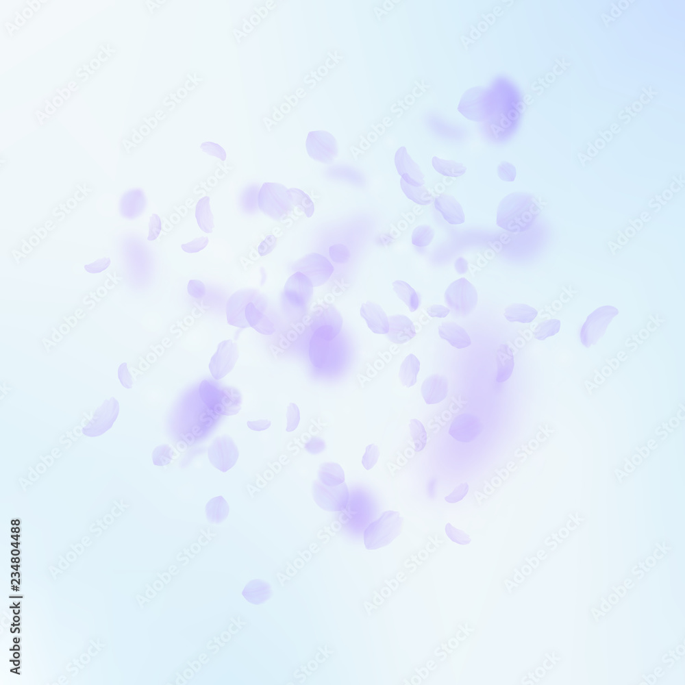 Naklejka premium Violet flower petals falling down. Breathtaking ro
