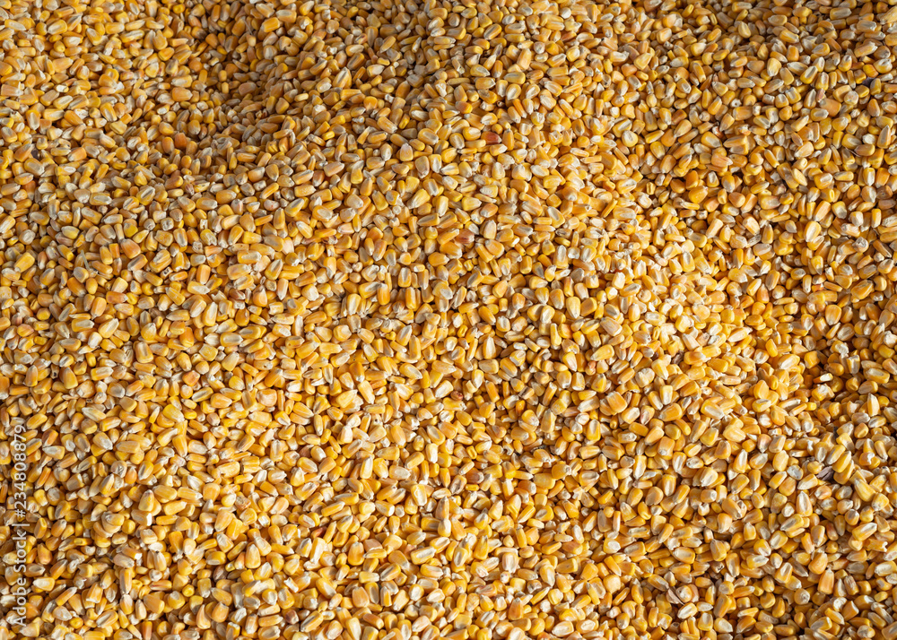 Corn Kernel Background Corn Kernel Background