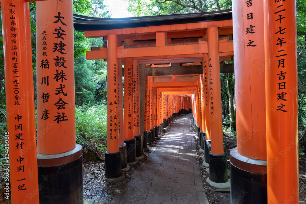 Red Torii gates in Fushimi Inari shrine Red Torii gates in Fushimi Inari shrine