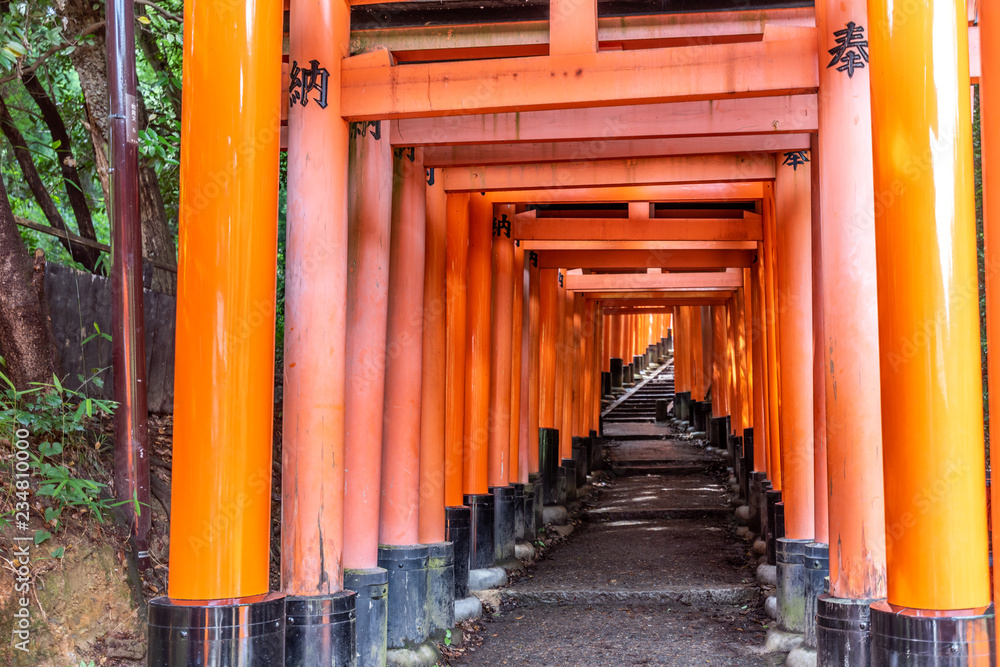 Red Torii gates in Fushimi Inari shrine Red Torii gates in Fushimi Inari shrine