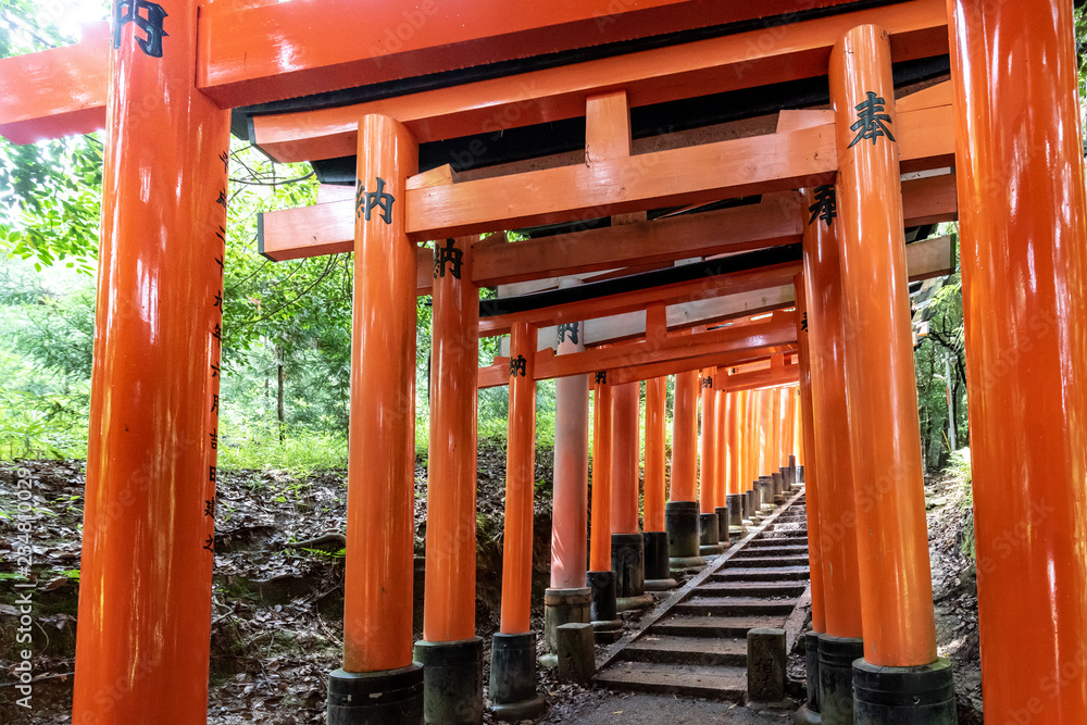 Red Torii gates in Fushimi Inari shrine Red Torii gates in Fushimi Inari shrine