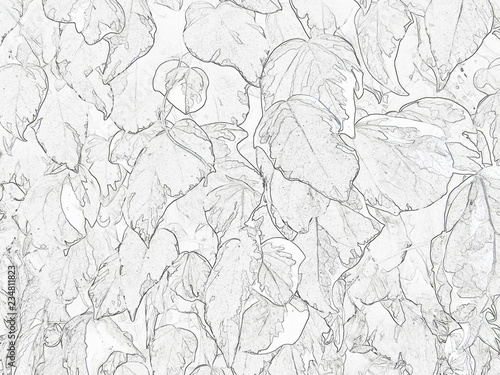 ivy leaves abstract background