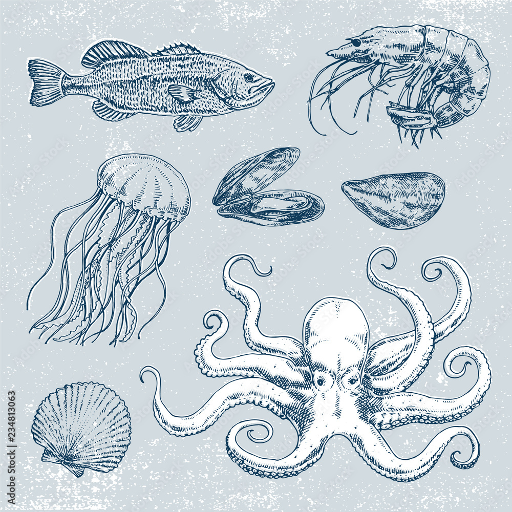 Hand drawn set of pictures with marine life. Vector illustration ...