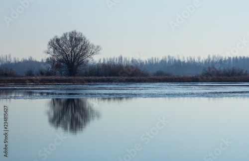 Landscape with  forest near the river in cold weather.  © revol_deeps