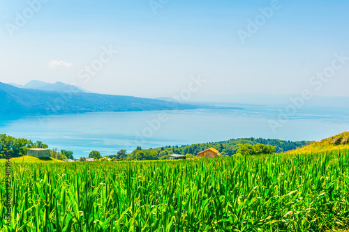 Aerial view of Geneva lake from Mont Pelerin, Switzerland photo