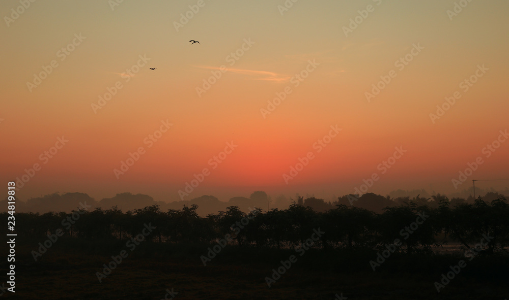 Fototapeta premium Sunrise in winter