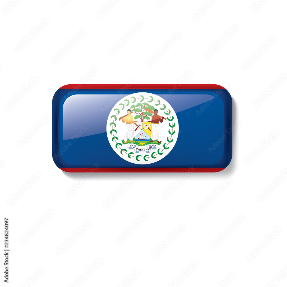 Belize flag, vector illustration on a white background Belize flag, vector illustration on a white background