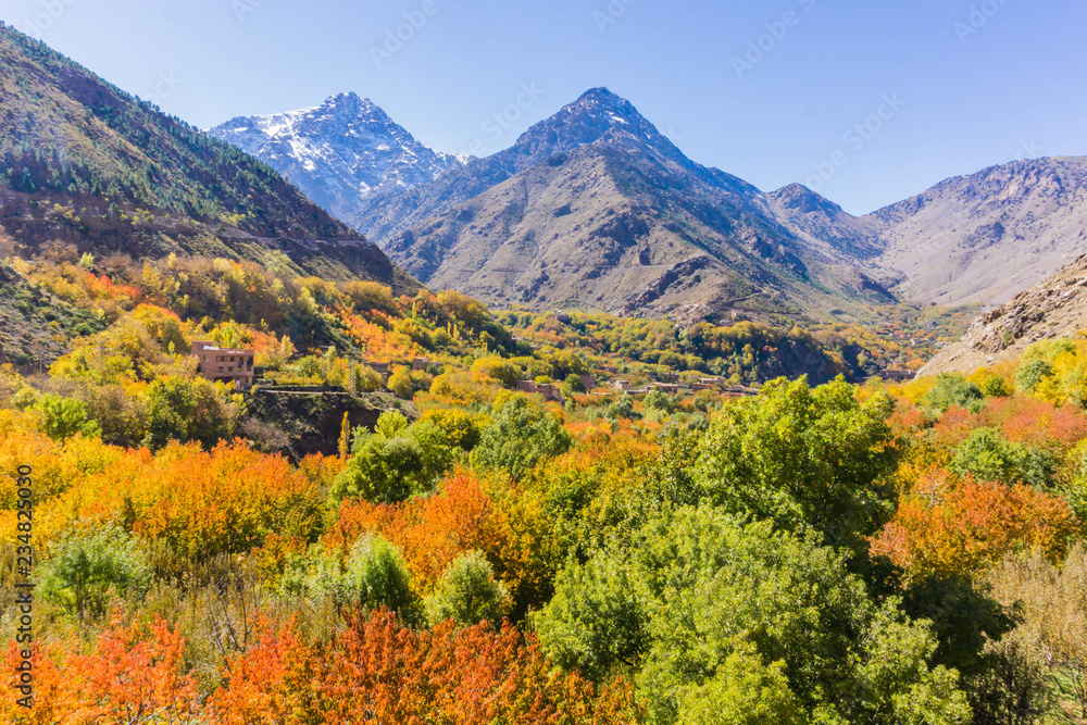 Autumn colours in the Imlil Valley in the High Atlas Mountains of Morocco