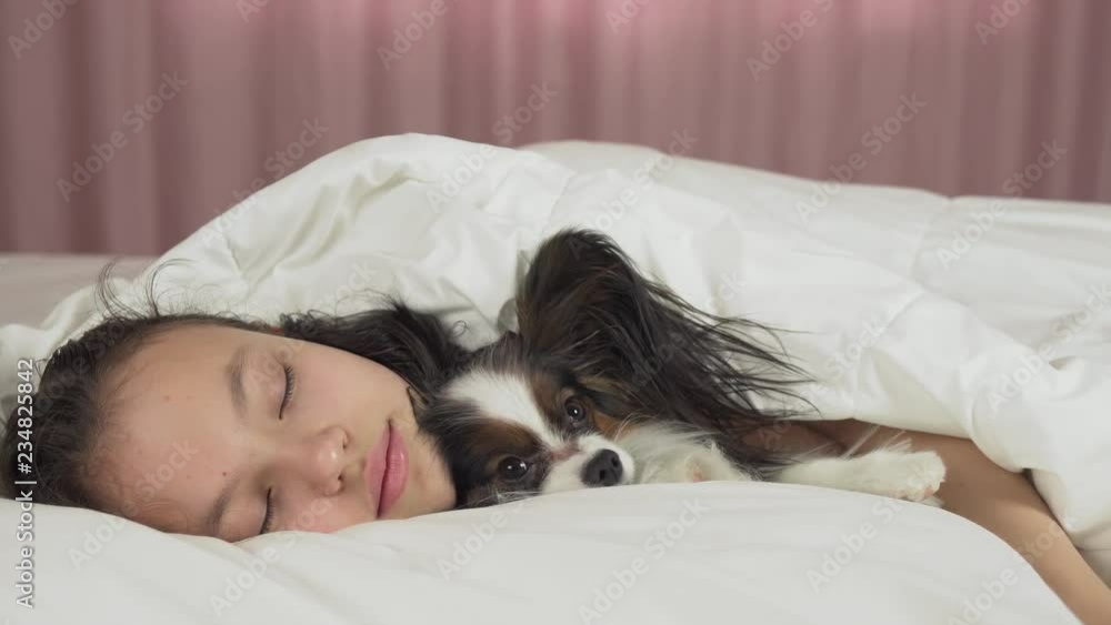Papillon dog wakes teen girl in the bed stock footage video Papillon dog wakes teen girl in the bed stock footage video