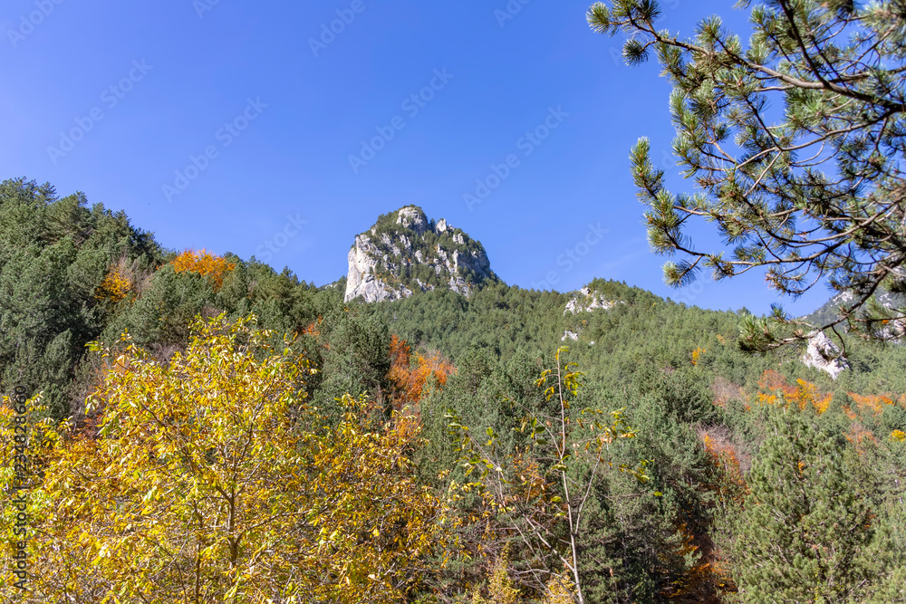 Lonely rock between the hills covered with forests with autumn foliage. Litochoro. Greece