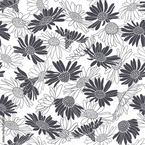 Seamless pattern with daisy flowers. Monochrome vector illustration on a white background.