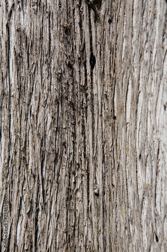 The wood texture is photographed close-up.