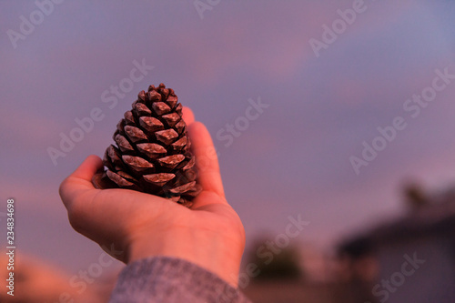 Closeup Of Woman Holding Pinecorn During Holidays With Sunset photo