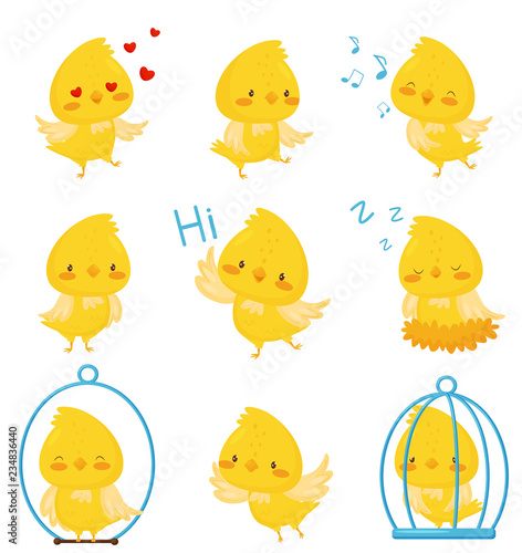 Cute chicken chracters in various situations set, emotional funny bird cartoon character vector Illustration on a white background
