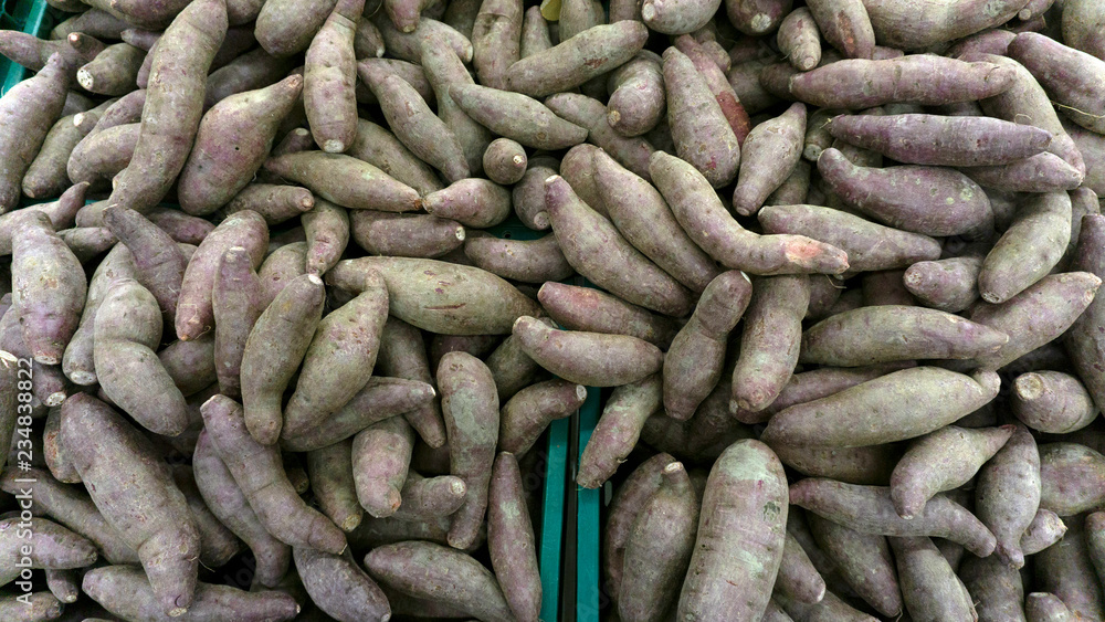 Raw Sweet Potato purple peel yam raw many in market background and department store..