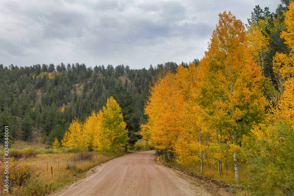 Fototapeta premium Lines on the Map 300