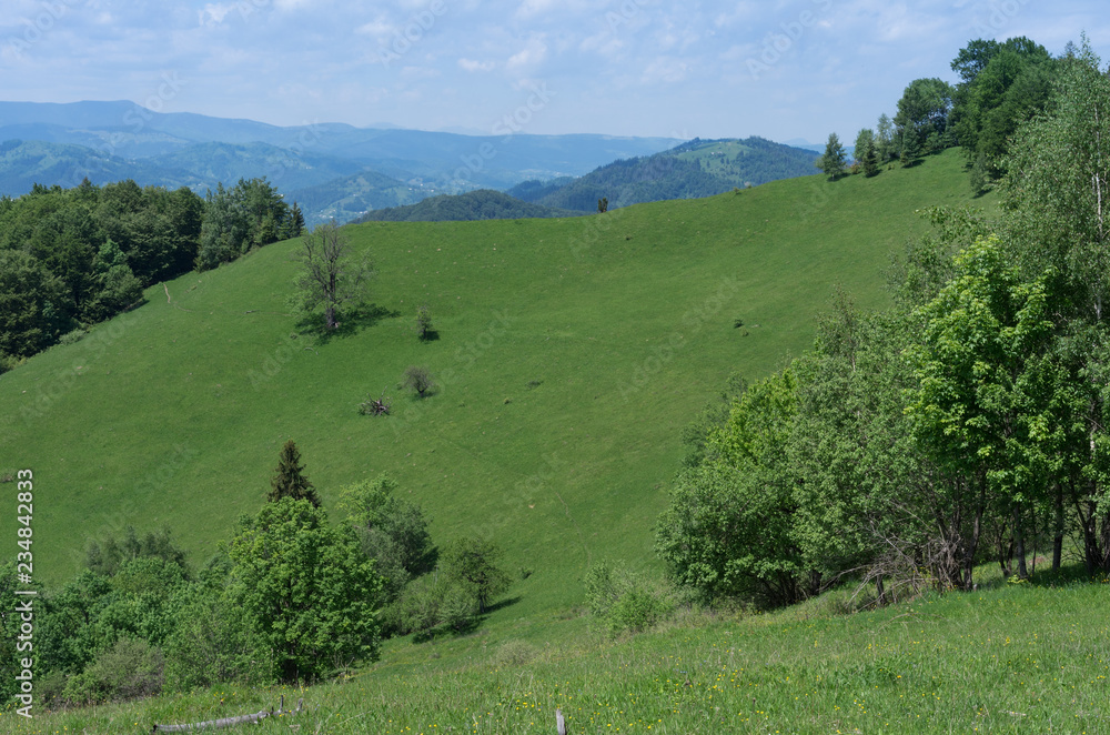 Large green pasture (polonyna) in the Carpathian Mountains